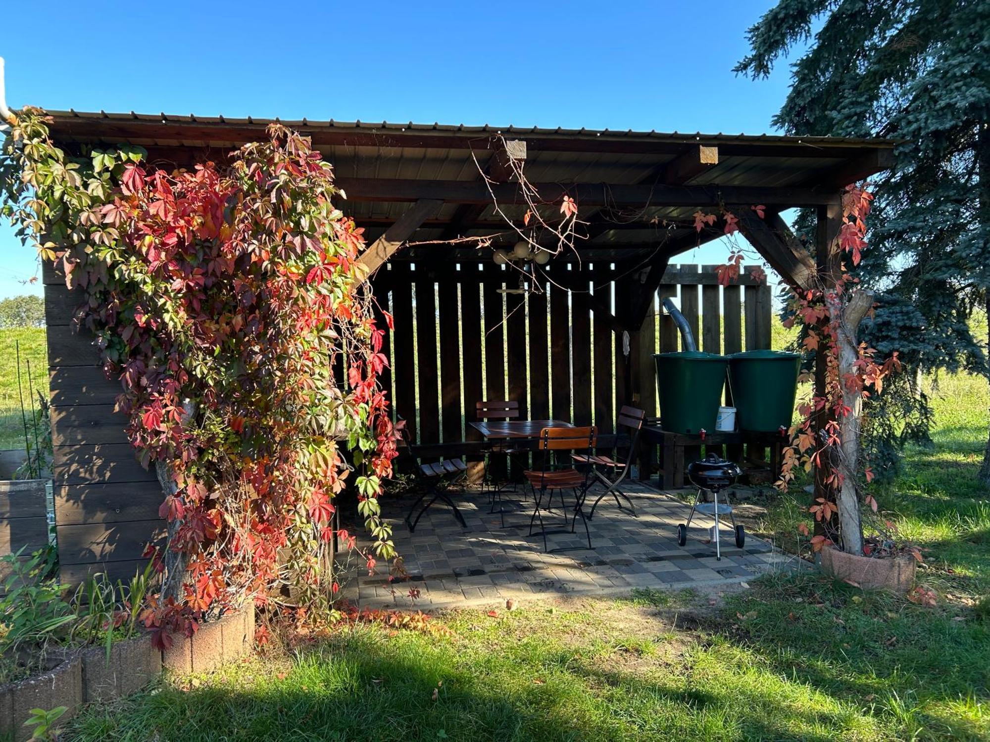 Gelbes Haus Seenland Ferienwohnungen Xl Elsterheide Exterior foto
