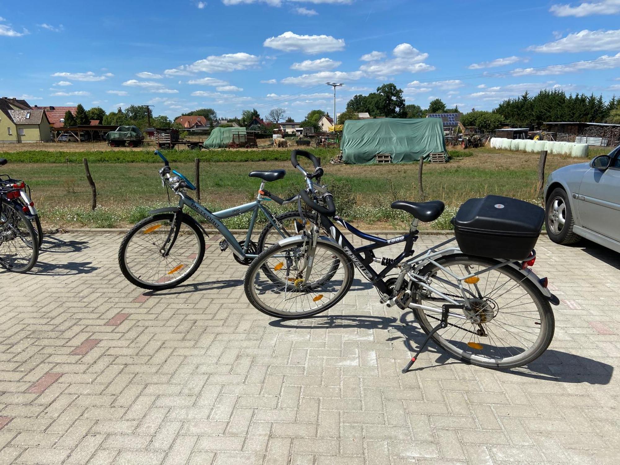 Gelbes Haus Seenland Ferienwohnungen Xl Elsterheide Exterior foto